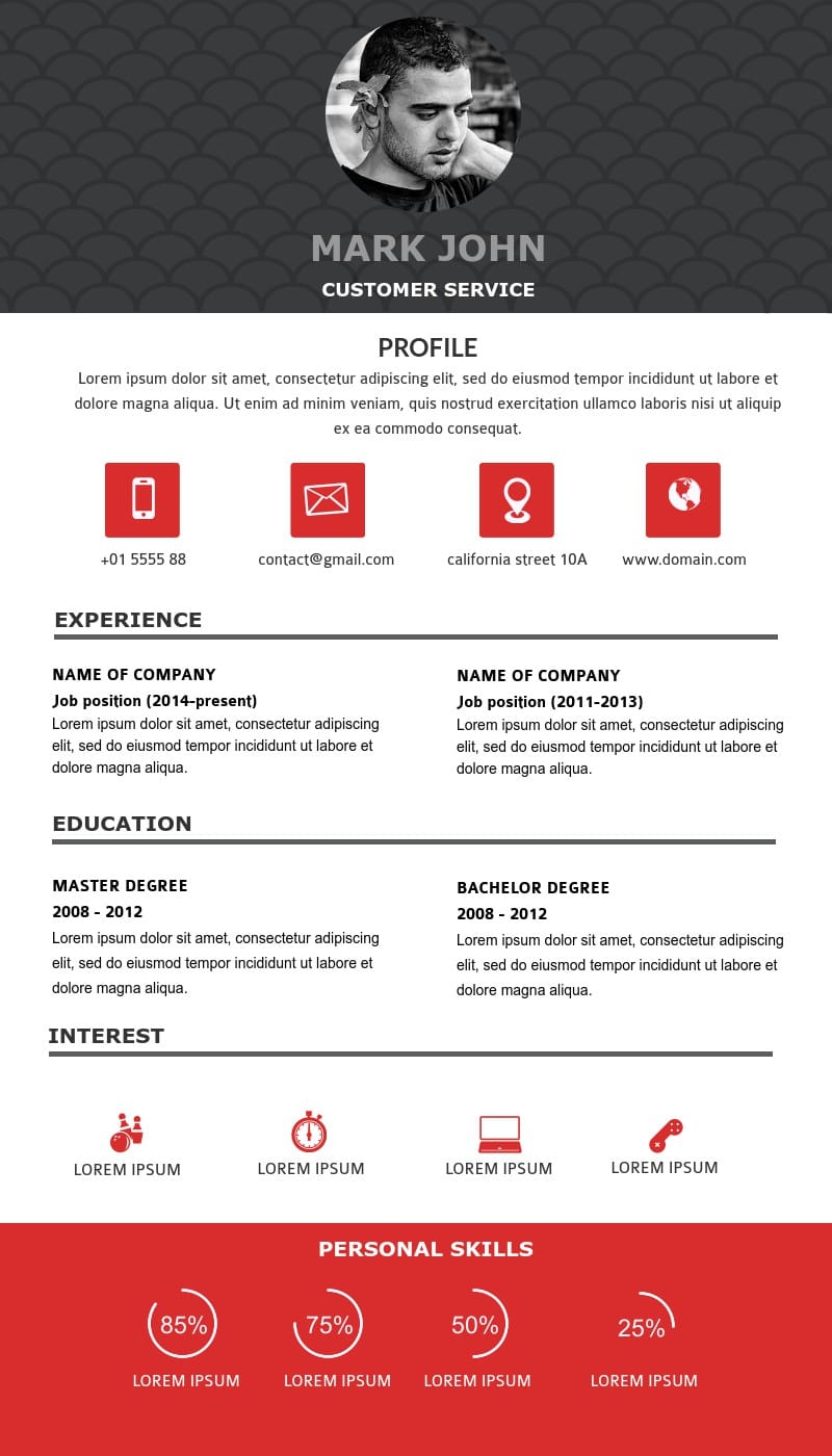 Customer Service Resume Infographic Template